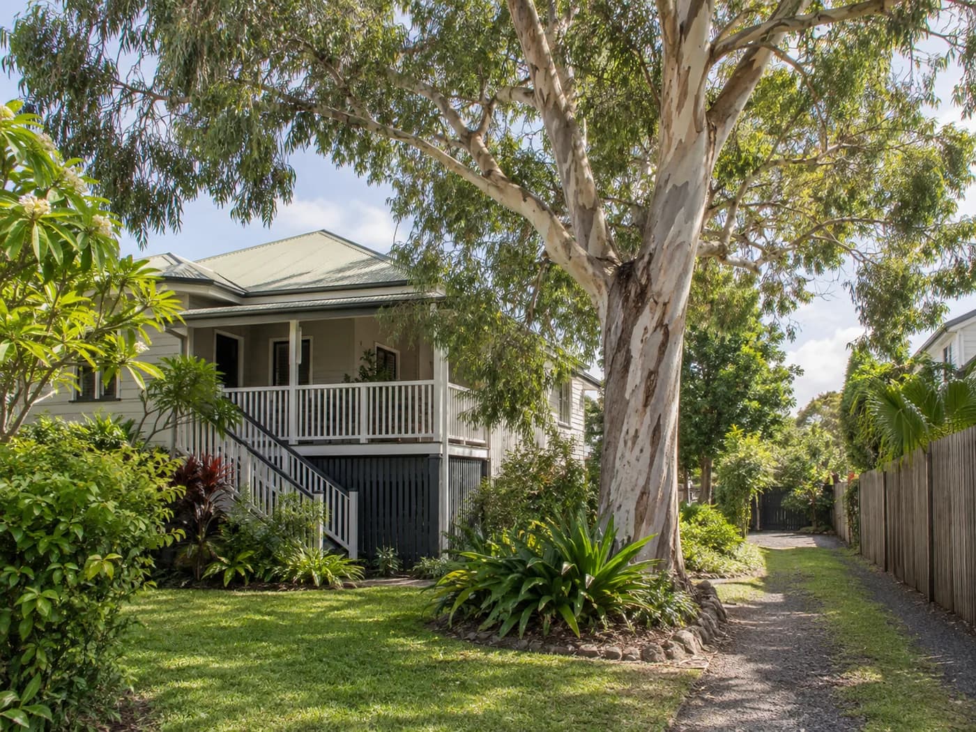 Illustrative local tree and access context in Brisbane